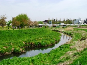 大堀川 大堀川