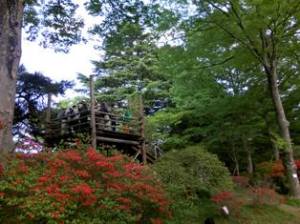 清水公園 清水公園