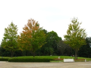 笠間陶芸公園