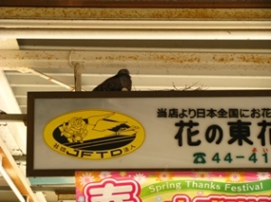 豊四季台団地 豊四季台団地