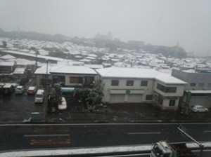 初雪