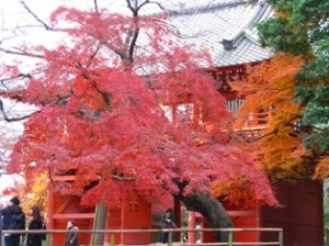 清水公園 清水公園