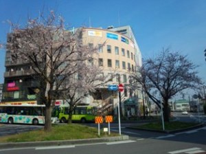 我孫子駅前桜