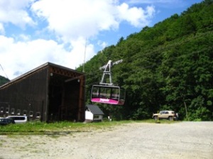 山形・すみれ 山形・すみれ