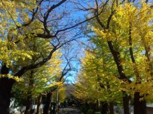 柏公園入り口 柏公園入り口