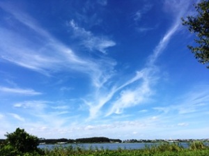 手賀チャリ 手賀チャリ
