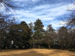 柏公園 柏公園