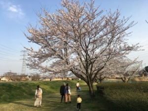 柏ふるさと公園