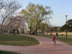 柏ふるさと公園