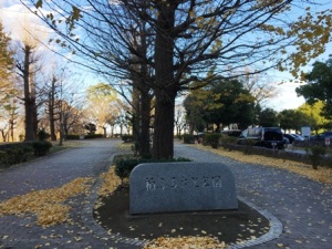 柏ふるさと公園 柏ふるさと公園