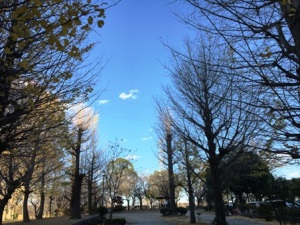 柏ふるさと公園 柏ふるさと公園