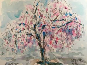 上野の枝垂れ桜