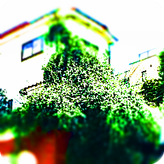 柏 柏