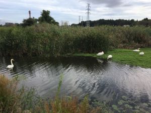 北柏ふるさと公園 北柏ふるさと公園