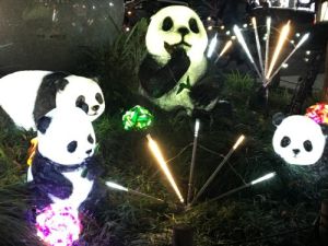 集合写真 集合写真