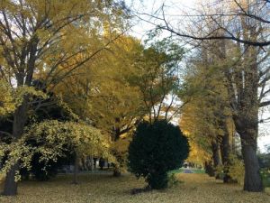 気象大学校 気象大学校
