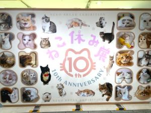 ねこ休み展 ねこ休み展