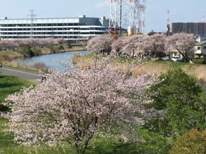 大堀川 大堀川