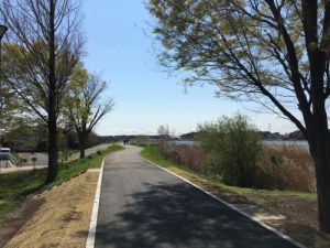 手賀沼遊歩道 手賀沼遊歩道