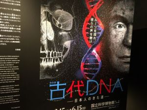 古代DNA展