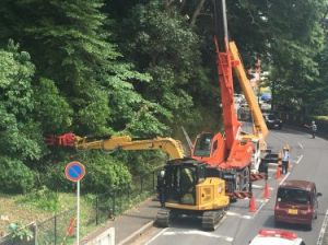 柏公園植栽工事 柏公園植栽工事