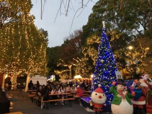 上野公園Xmas