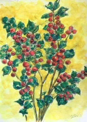 ヒイラギ ヒイラギ